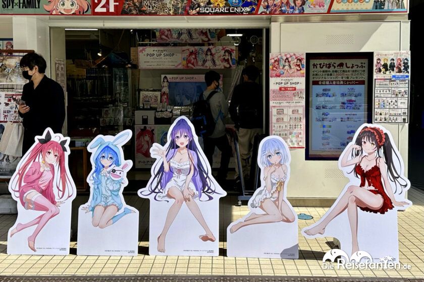 Akihabara (21)