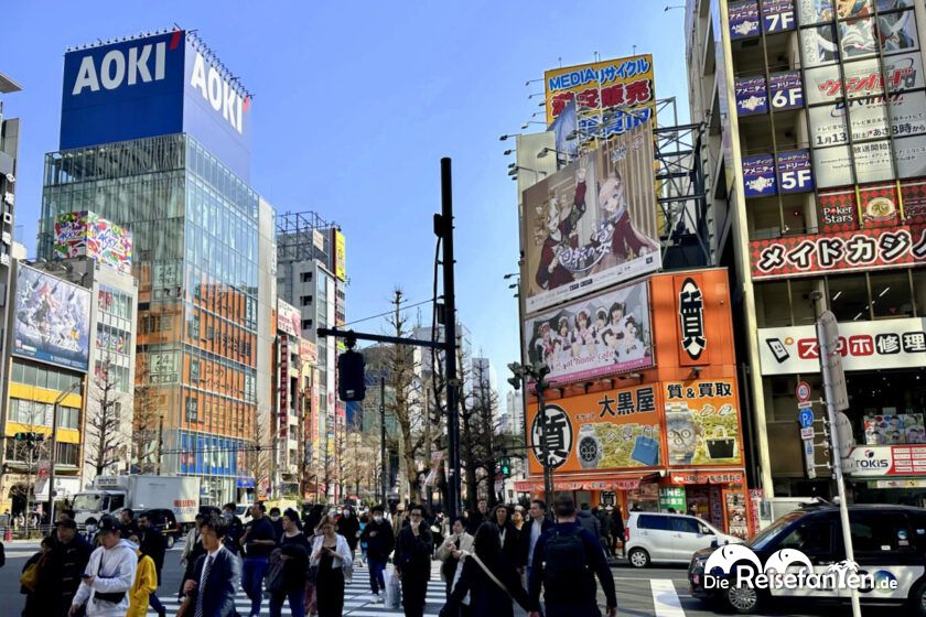 Akihabara (8)
