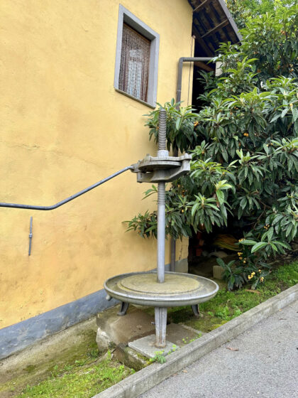 Barolo (10)