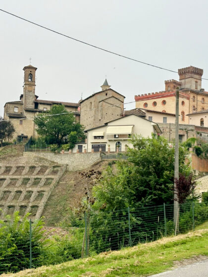 Barolo (11)