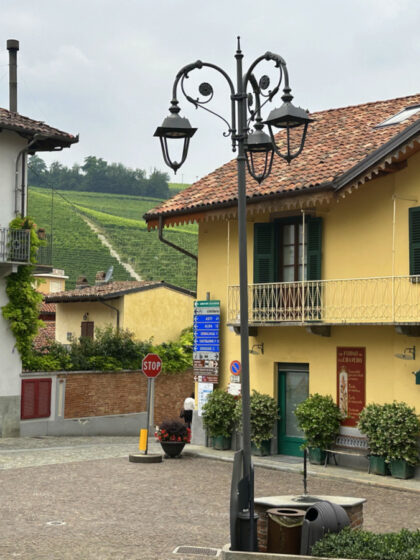 Barolo (16)