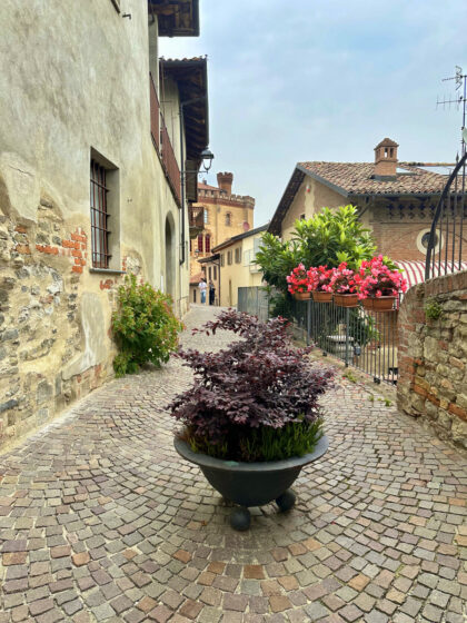 Barolo (18)