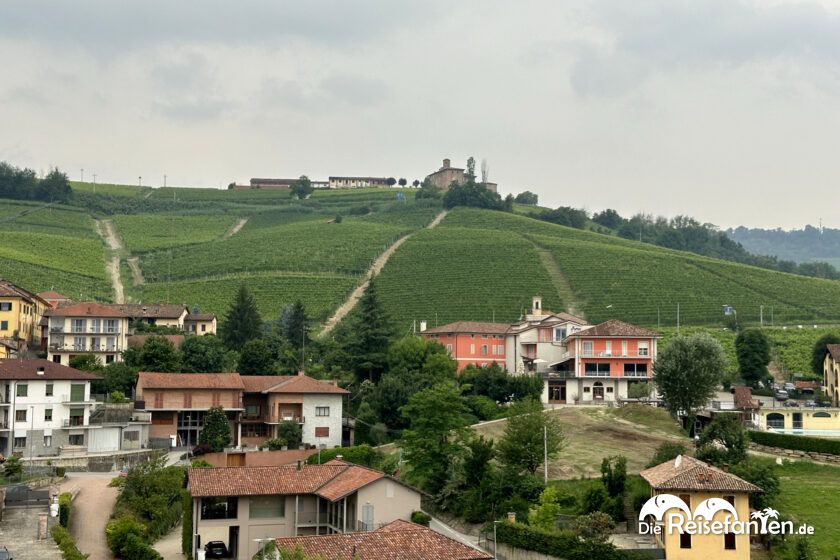 Barolo (6)