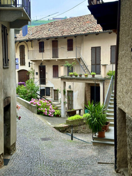 Barolo (8)