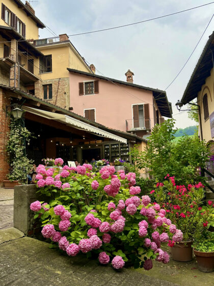 Barolo (9)