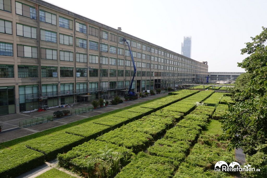 Das Fiat Werk Lingotto in Turin (2)