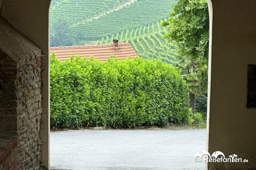 Serralunga d'Alba (8)