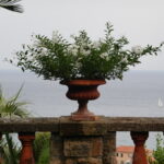 Ein Besuch in den Gärten der Villa della Pergola in Alassio (1)