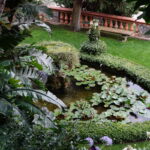 Ein Besuch in den Gärten der Villa della Pergola in Alassio (12)