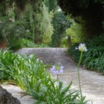 Ein Besuch in den Gärten der Villa della Pergola in Alassio (18)