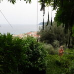 Ein Besuch in den Gärten der Villa della Pergola in Alassio (22)