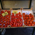 Savona Zwischen Brutalismus und italienischem Eis Glück (31)