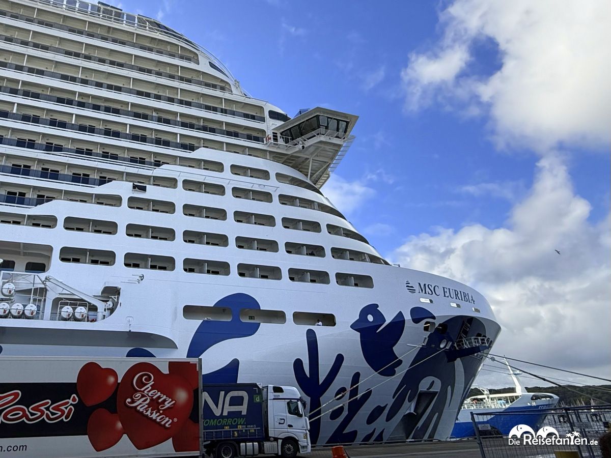 MSC Euribia (4)