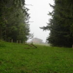 Wanderung zum Berggasthof Neureuth (11)