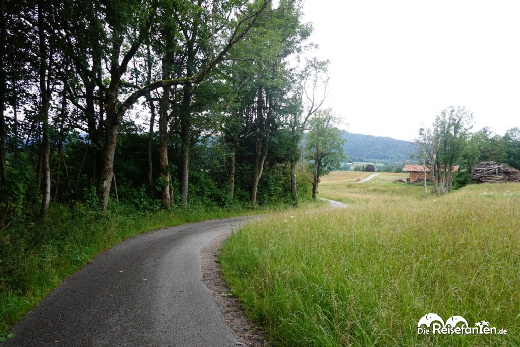 Wanderung zum Berggasthof Neureuth (2)