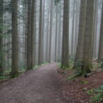 Wanderung zum Berggasthof Neureuth (22)