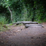 Wanderung zum Berggasthof Neureuth (27)