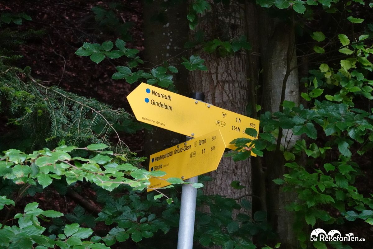 Wanderung zum Berggasthof Neureuth (7)