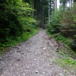 Wanderung zum Berggasthof Neureuth (8)