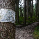 Wanderung zum Berggasthof Neureuth (9)