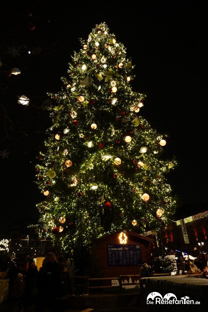 Der Weihnachtsmarkt in Straßburg bei Nacht (25)