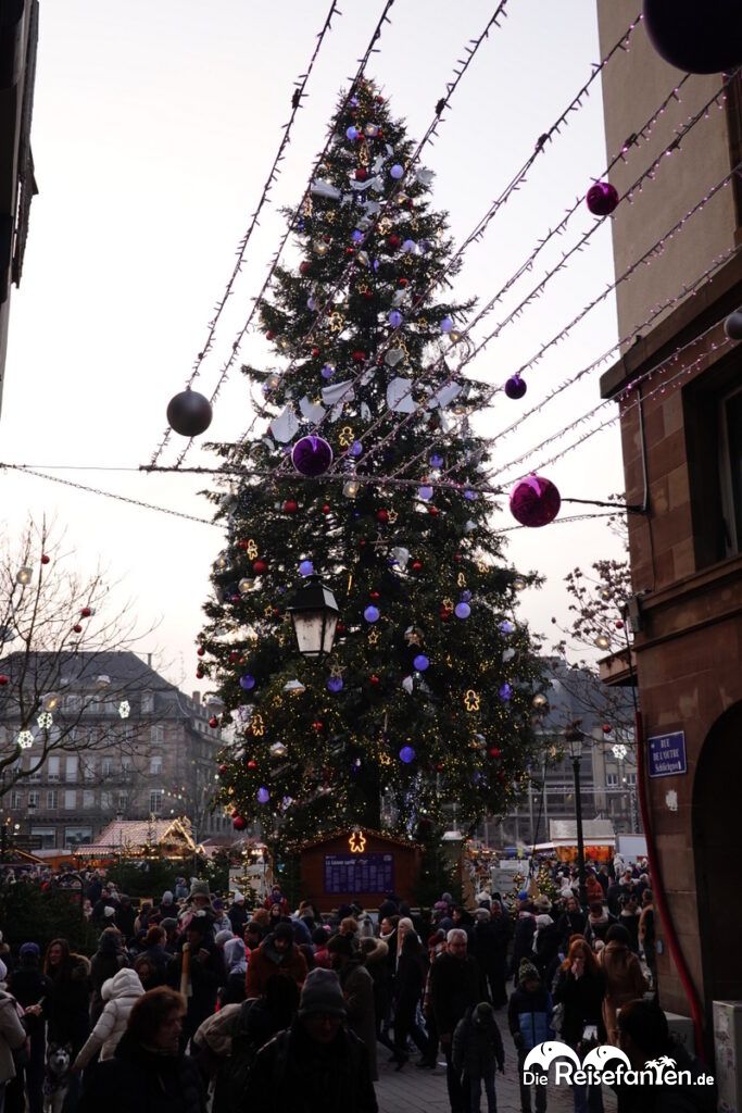 Der Weihnachtsmarkt in Straßburg bei Tag (8)