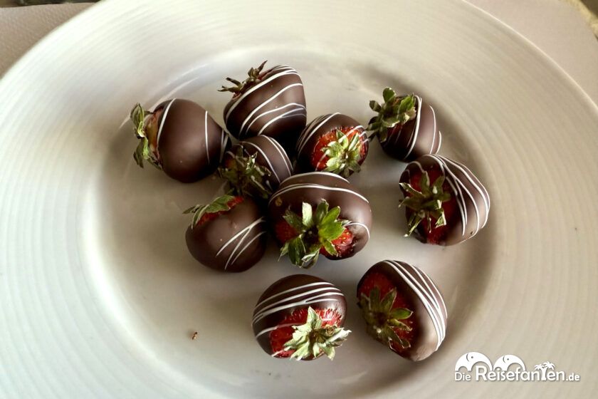 MSC Euribia kulinarisch (1)