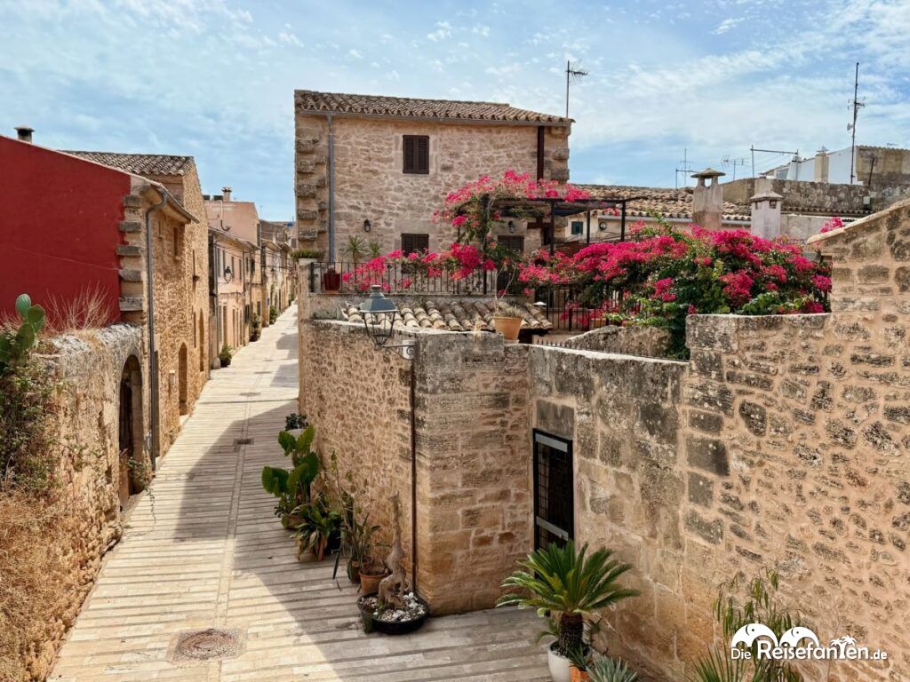 Alcudia im Norden von Mallorca (2)