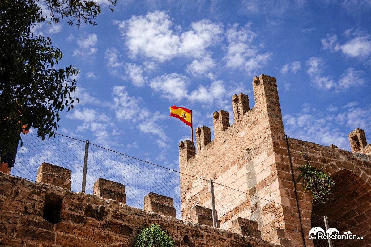 Alcudia im Norden von Mallorca (6)