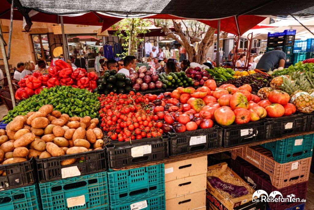 Entlang der Ostküste Mallorcas (6)