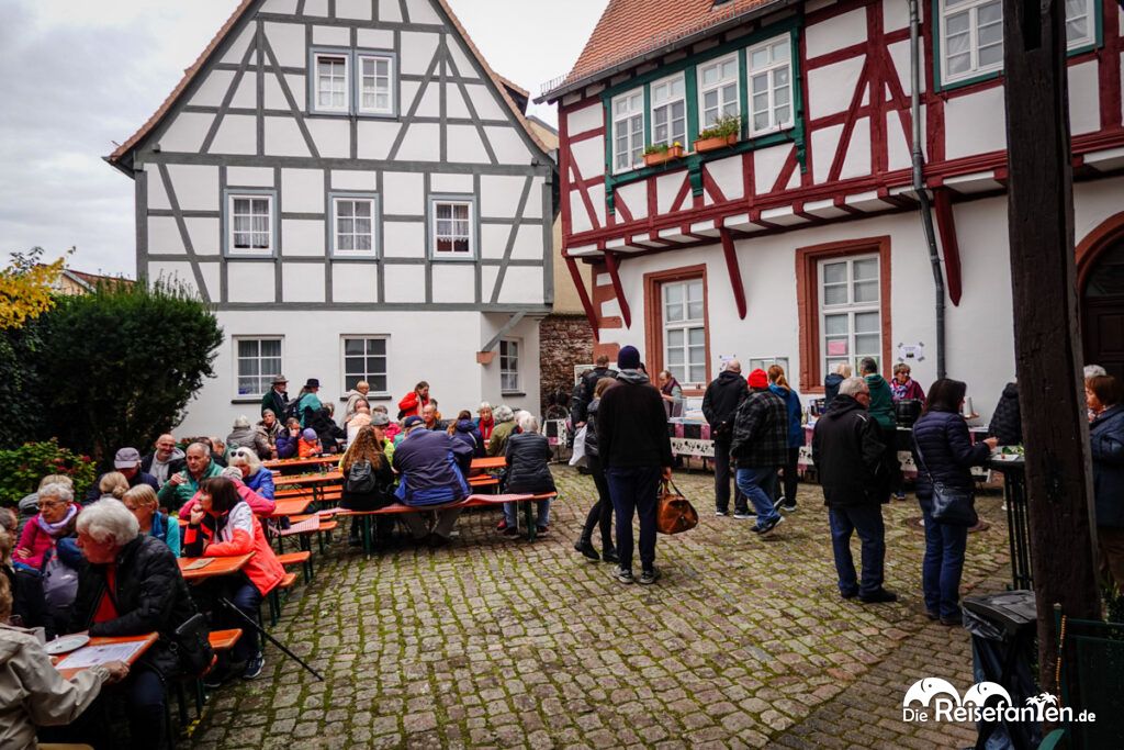 Im Neckartal von Heidelberg nach Eberbach (12)