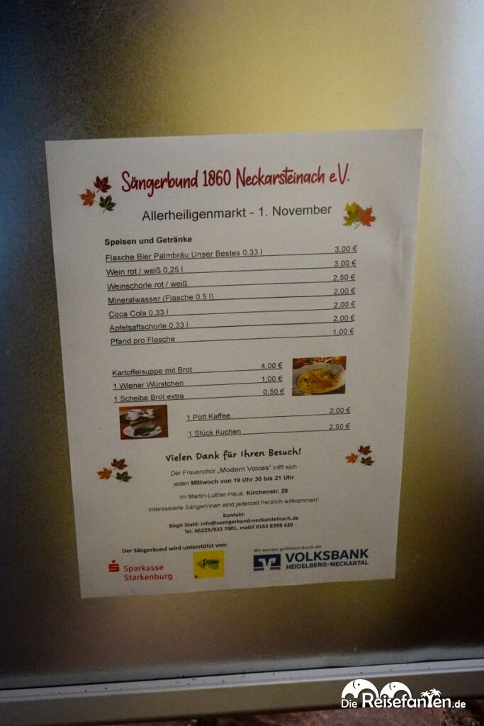 Im Neckartal von Heidelberg nach Eberbach (13)