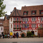 Im Neckartal von Heidelberg nach Eberbach (14)