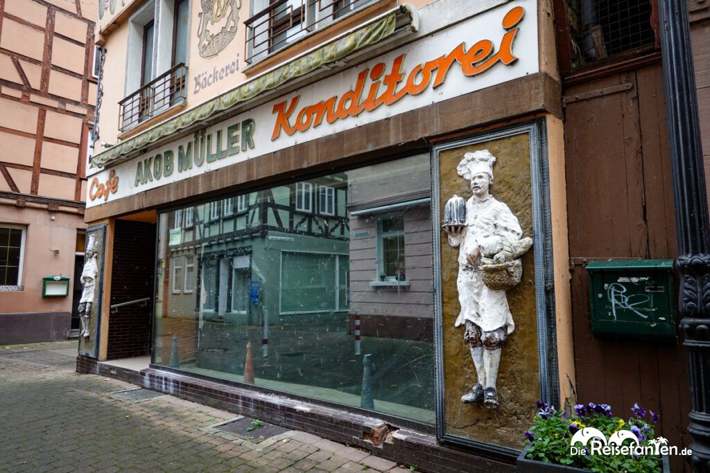 Im Neckartal von Heidelberg nach Eberbach (17)