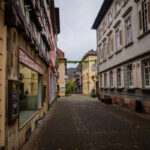 Im Neckartal von Heidelberg nach Eberbach (18)