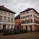 Im Neckartal von Heidelberg nach Eberbach (22)