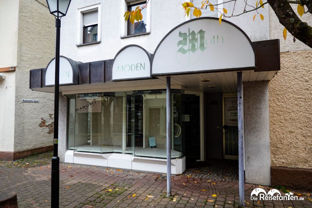 Im Neckartal von Heidelberg nach Eberbach (23)