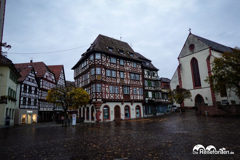 Im Neckartal von Heidelberg nach Eberbach (27)