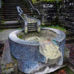 Im Neckartal von Heidelberg nach Eberbach (28)