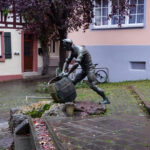 Im Neckartal von Heidelberg nach Eberbach (29)