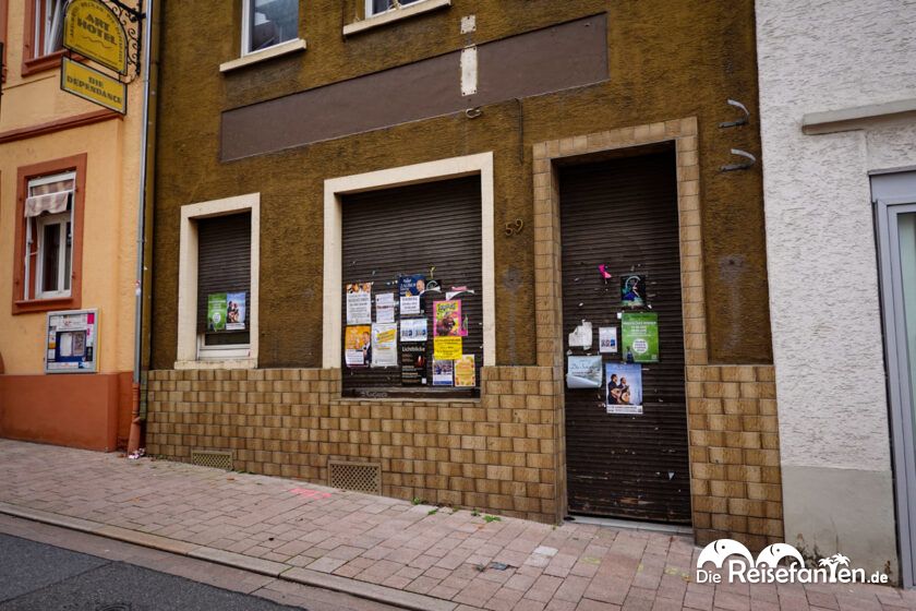 Im Neckartal von Heidelberg nach Eberbach (3)