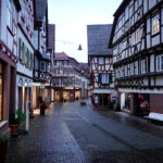 Im Neckartal von Heidelberg nach Eberbach (32)