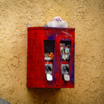 Im Neckartal von Heidelberg nach Eberbach (4)