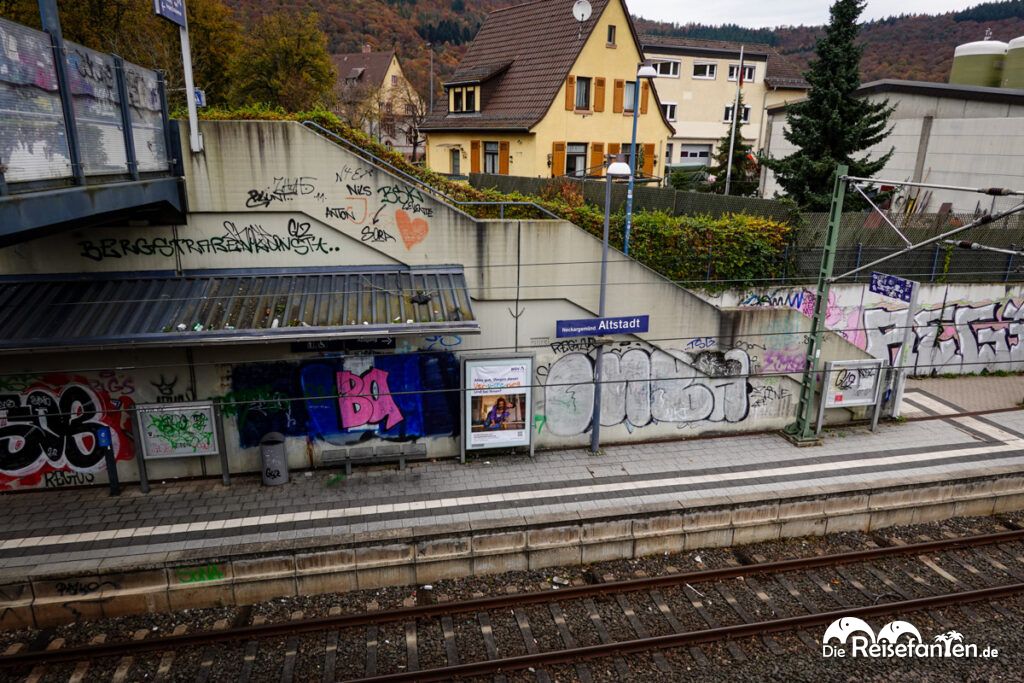 Im Neckartal von Heidelberg nach Eberbach (7)