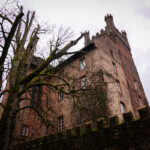 Im Neckartal von Heidelberg nach Eberbach (9)