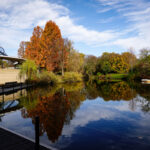 Luisenpark Mannheim im Herbst (1)