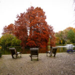 Luisenpark Mannheim im Herbst (11)