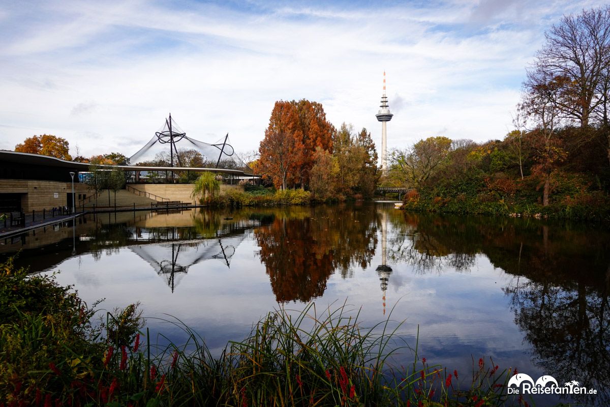 Luisenpark Mannheim im Herbst (2)