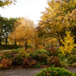 Luisenpark Mannheim im Herbst (5)
