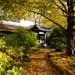 Luisenpark Mannheim im Herbst (7)